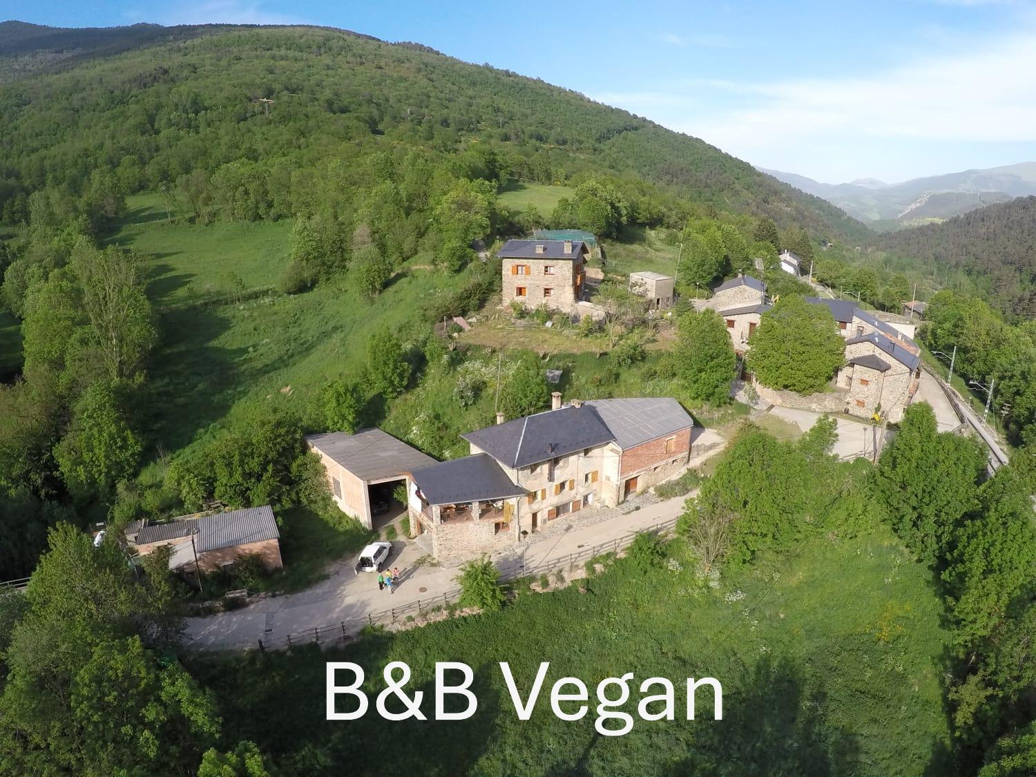 Cal Calau Vega Bed & Breakfast Planoles Exterior photo